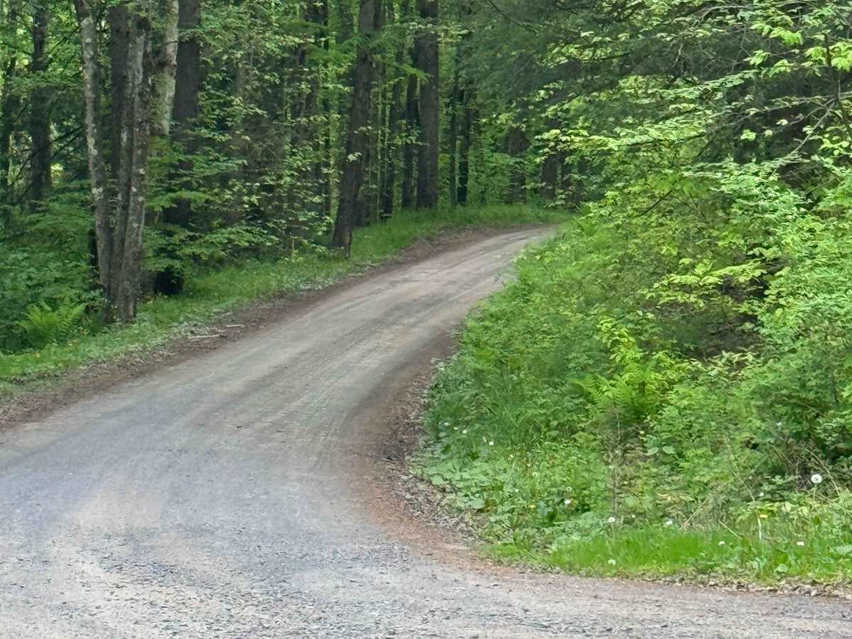 Joerg Run Road photo 5