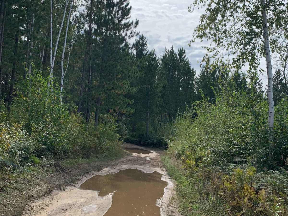 Taconite Trail - FS 90190 photo 6
