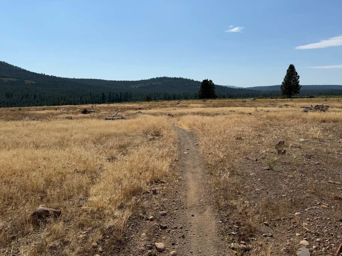 Ice House Trail photo 4