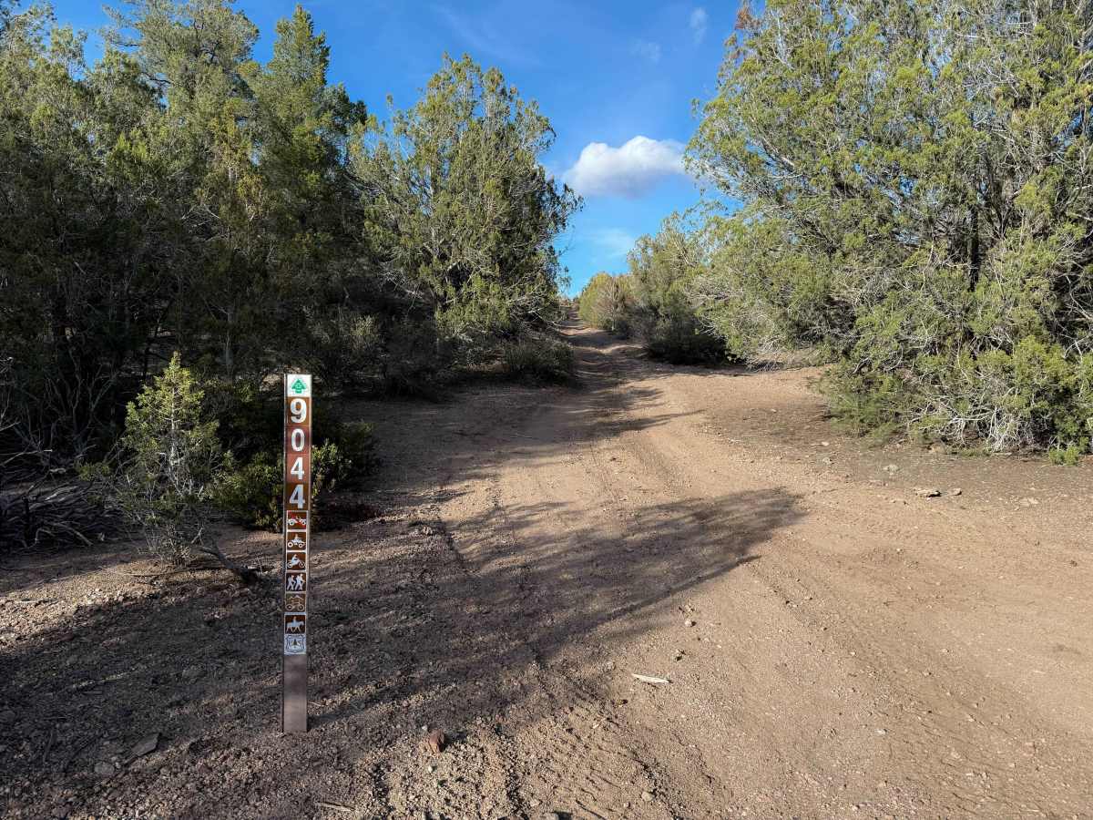 Adra Loop  photo 5