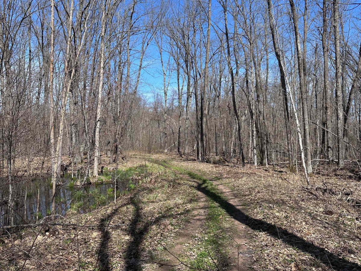 Hay Creek Trail photo 2