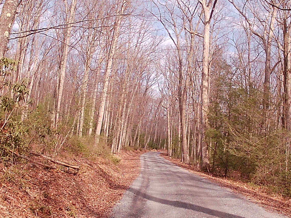 Stone Creek Road photo 4