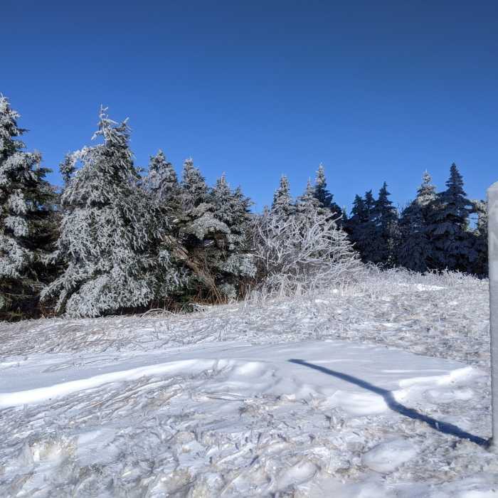 Near Bellows Pipe to Mt Greylock Summit
