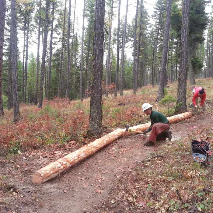 Near Fenceline #24.5