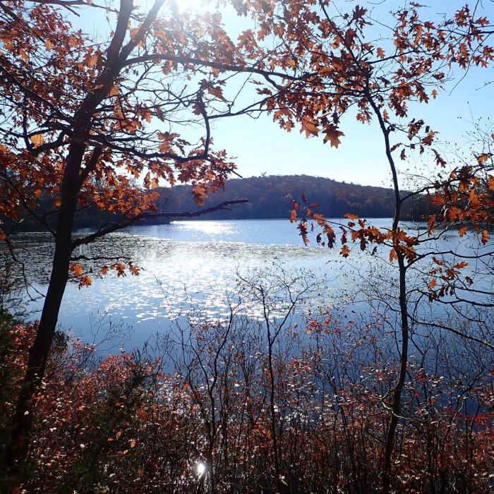 Near Ramapo Lake - Castle Point Loop