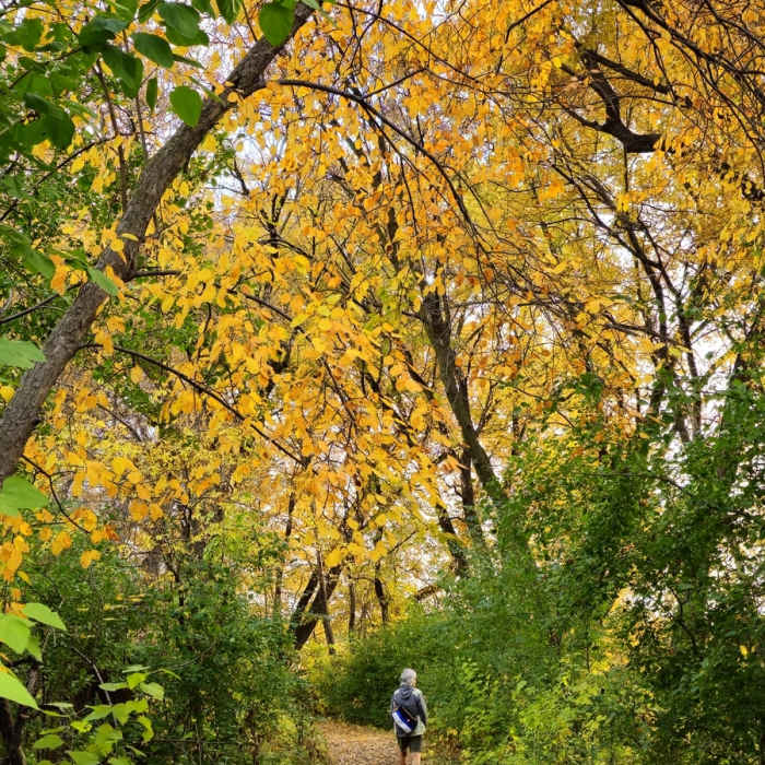 Near Bass Ponds Trail