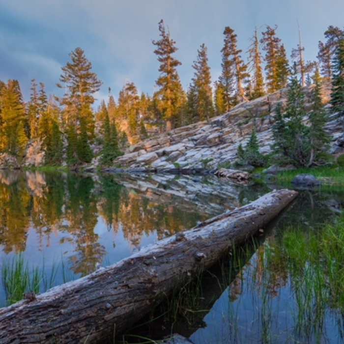 Crystal Lines by Darren Marshall Near Crystal Lake Trail