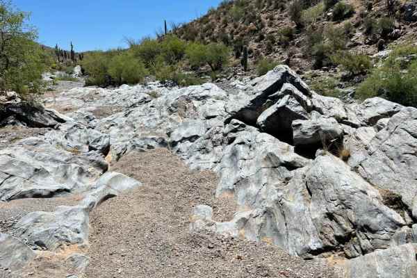 Lower Woody's Wash