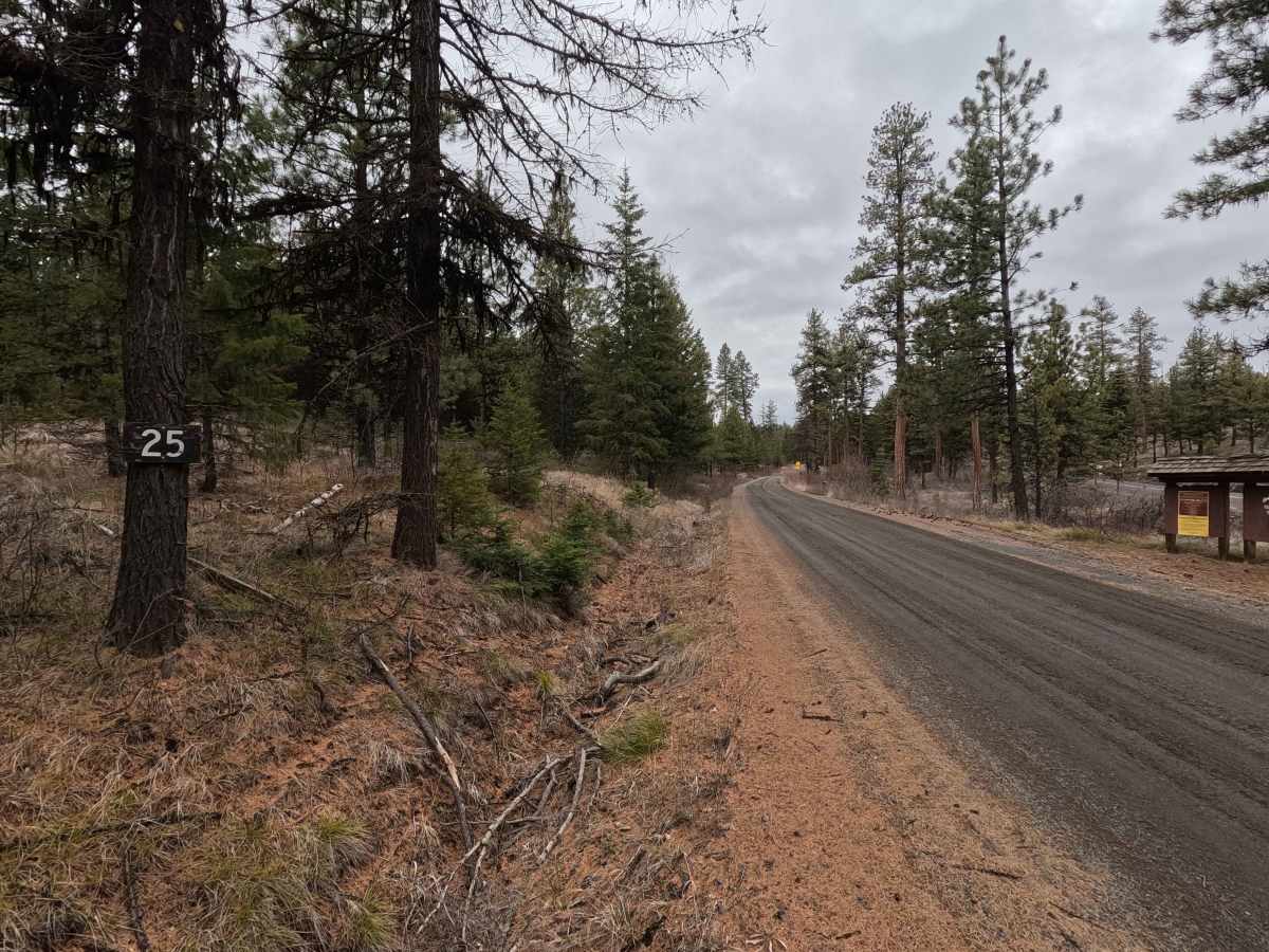 Wheeler Point - FS 25 trail photo
