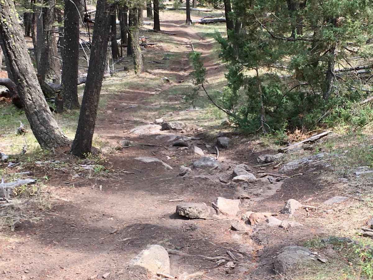 Little Galena Trail photo 5