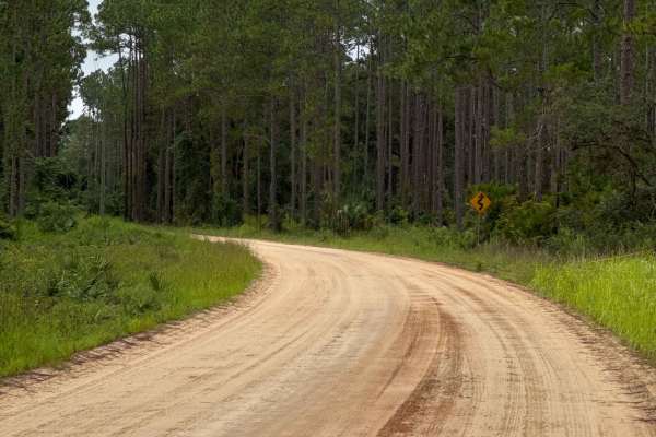Blue Creek Lodge Road