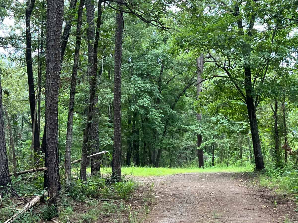 Wiley Trail  photo 3