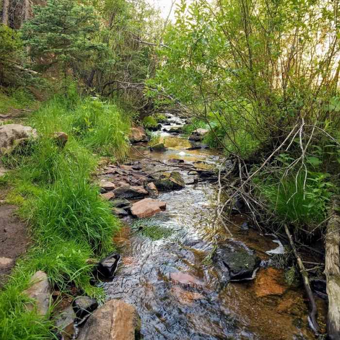 Near Mule Creek Trail