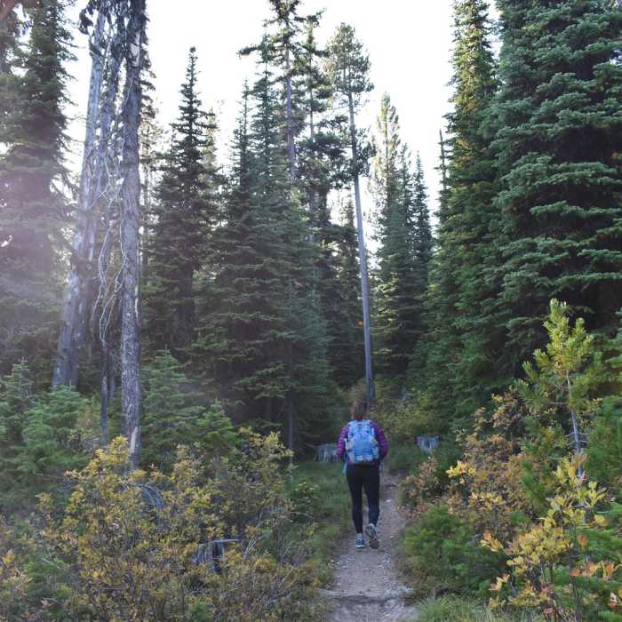 Near Ch-paa-qn (Reservation Divide Trail)