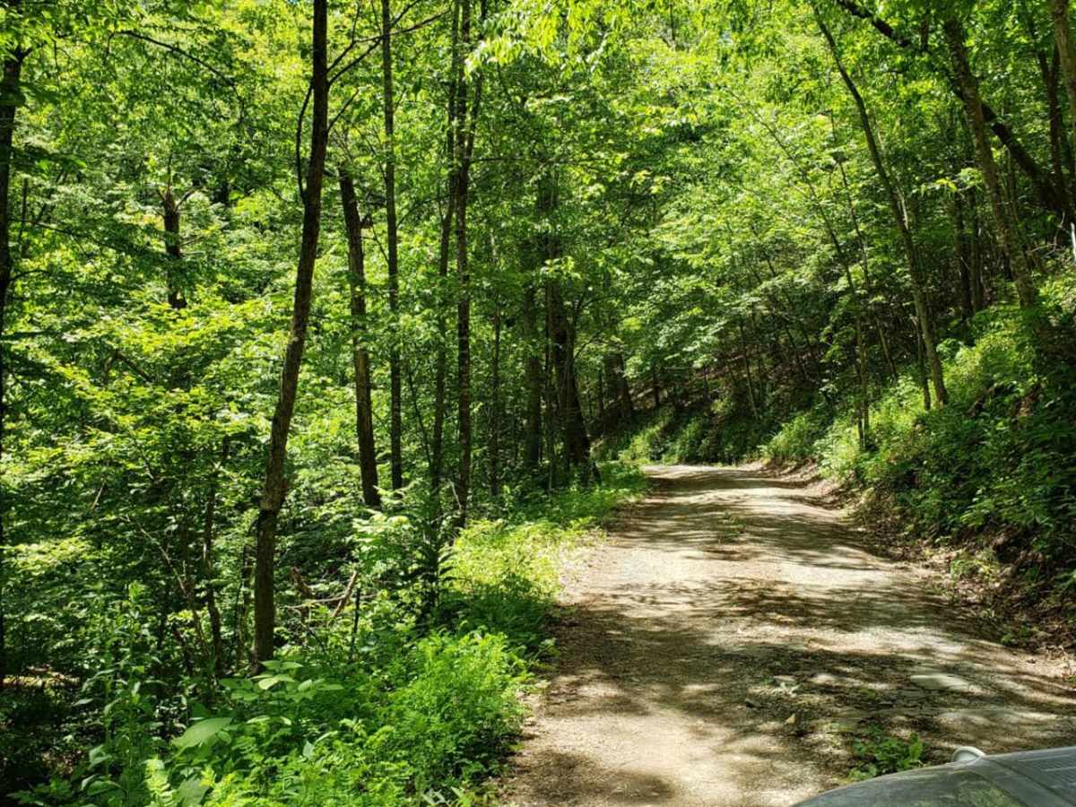 Big Mary trail photo