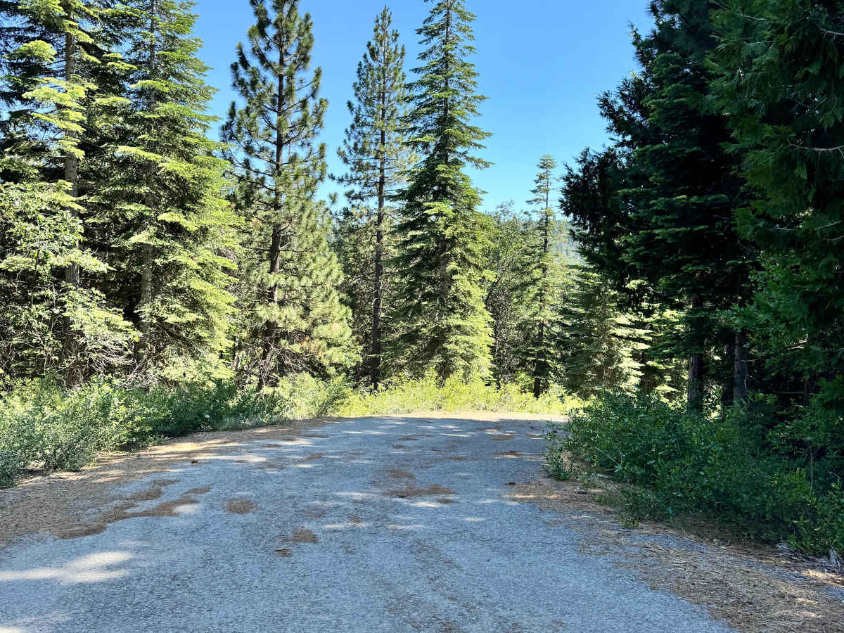 Upper Glen - FS 96 trail photo