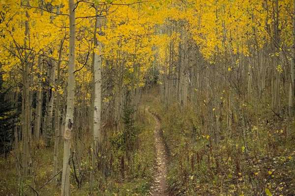 Doubletop Walrod Spur Trail 405.2A