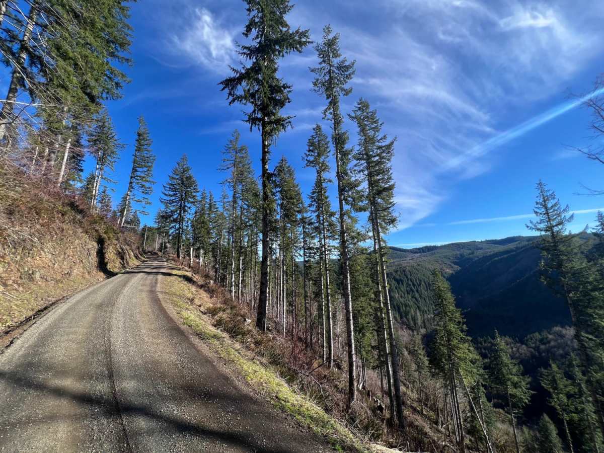 Lost Lake photo 5