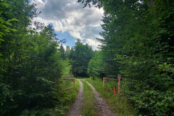 Deer Fly Lane