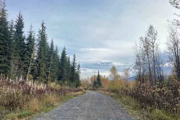 Cassy Road