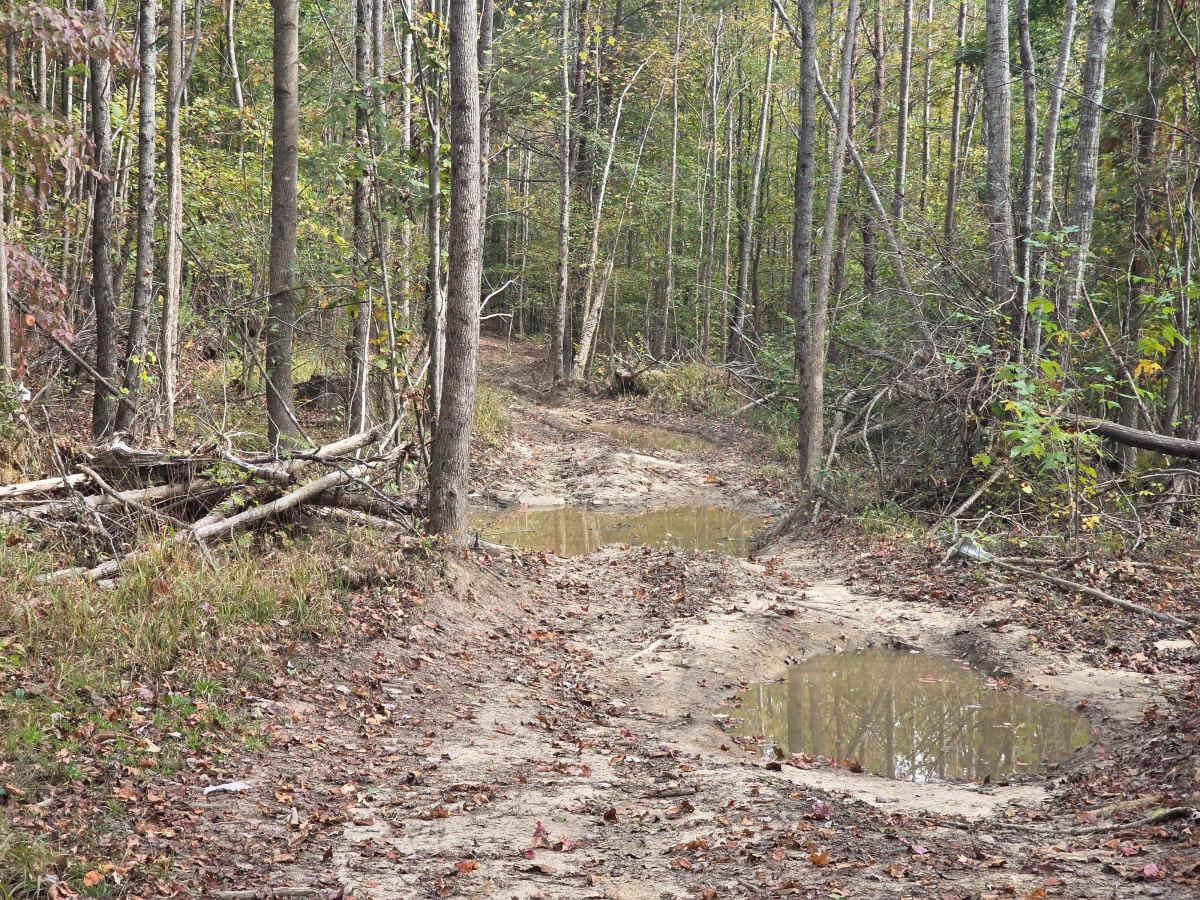 Tin Top Ridge photo 5