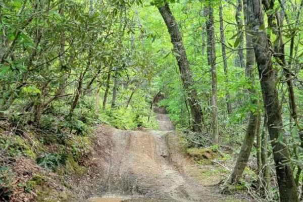 Gold Mine Road (Willis Knob)