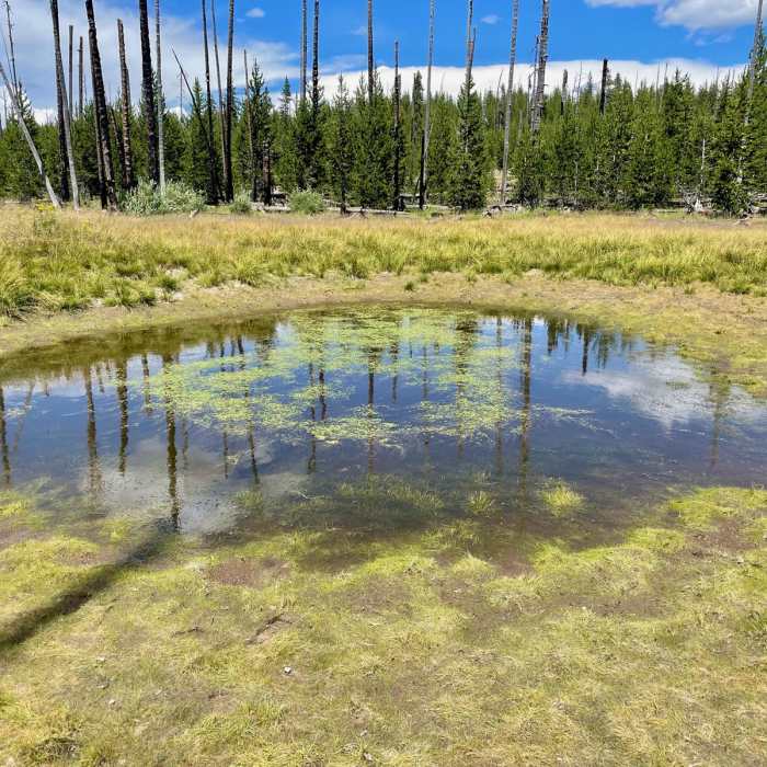 Near Continental Divide Trail: Montana-Idaho Section 1