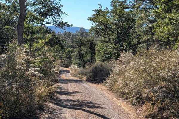 Pit Canyon Flat - FS 37N57Y