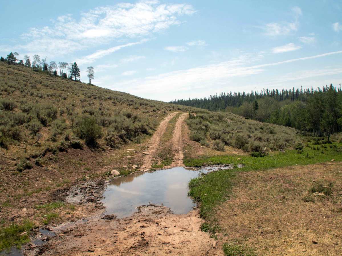 77 Flat Road - FS 10275 photo 2