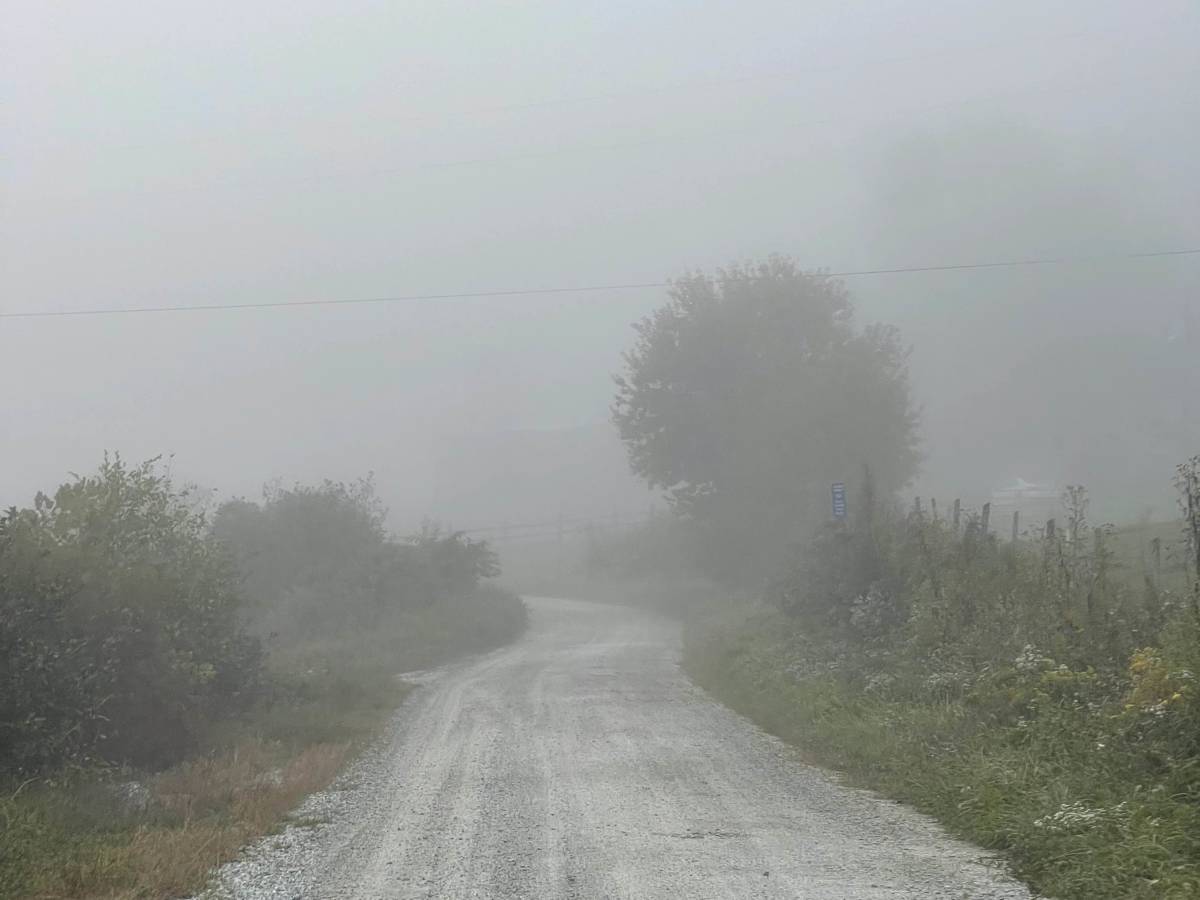 Watauga River Road photo 4