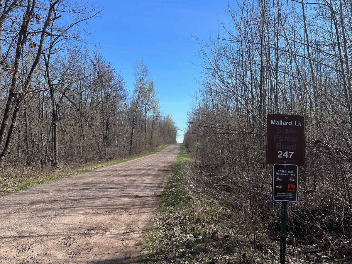 Mallard Lake Forest Road trail photo