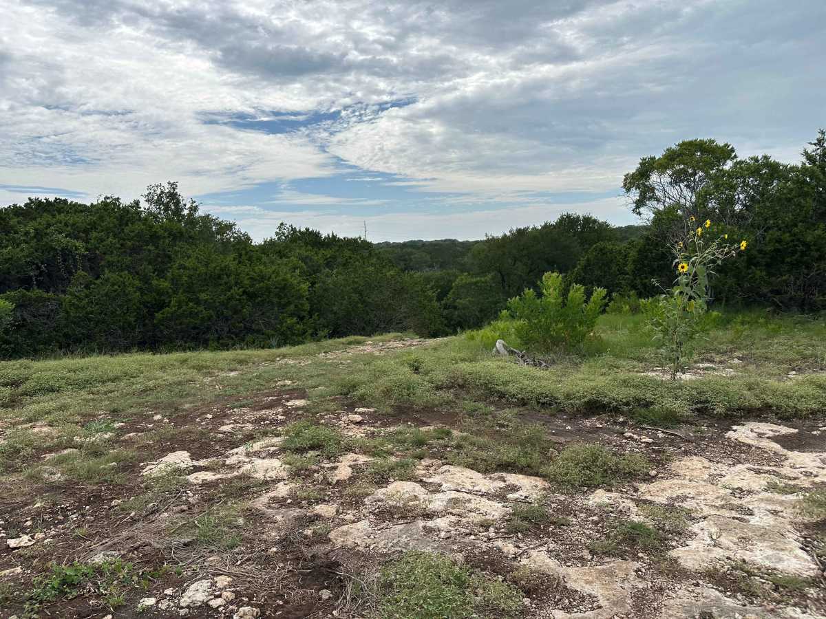 Chisholm Trail photo 6
