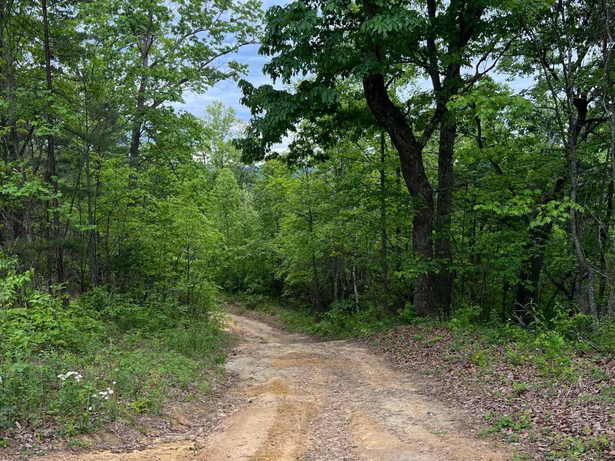 KC24A photo 2
