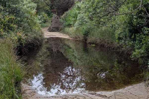 Hunters Trail - 1349