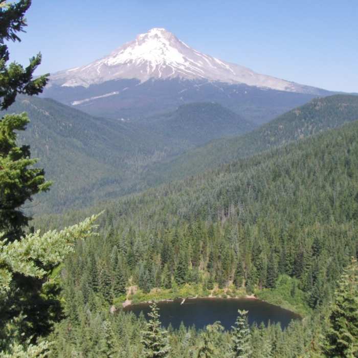 Near Veda Lake Trail #673