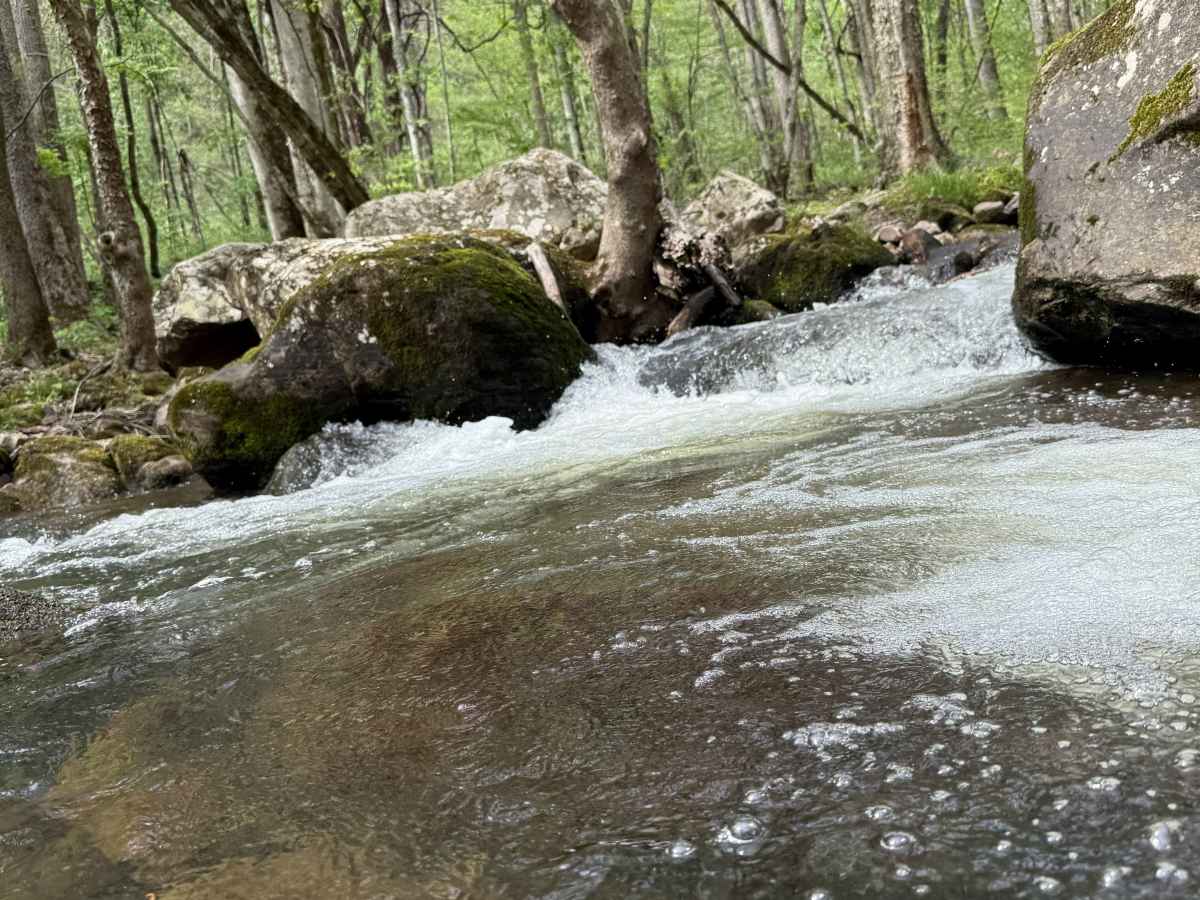 Tumbling Creek Road photo 5