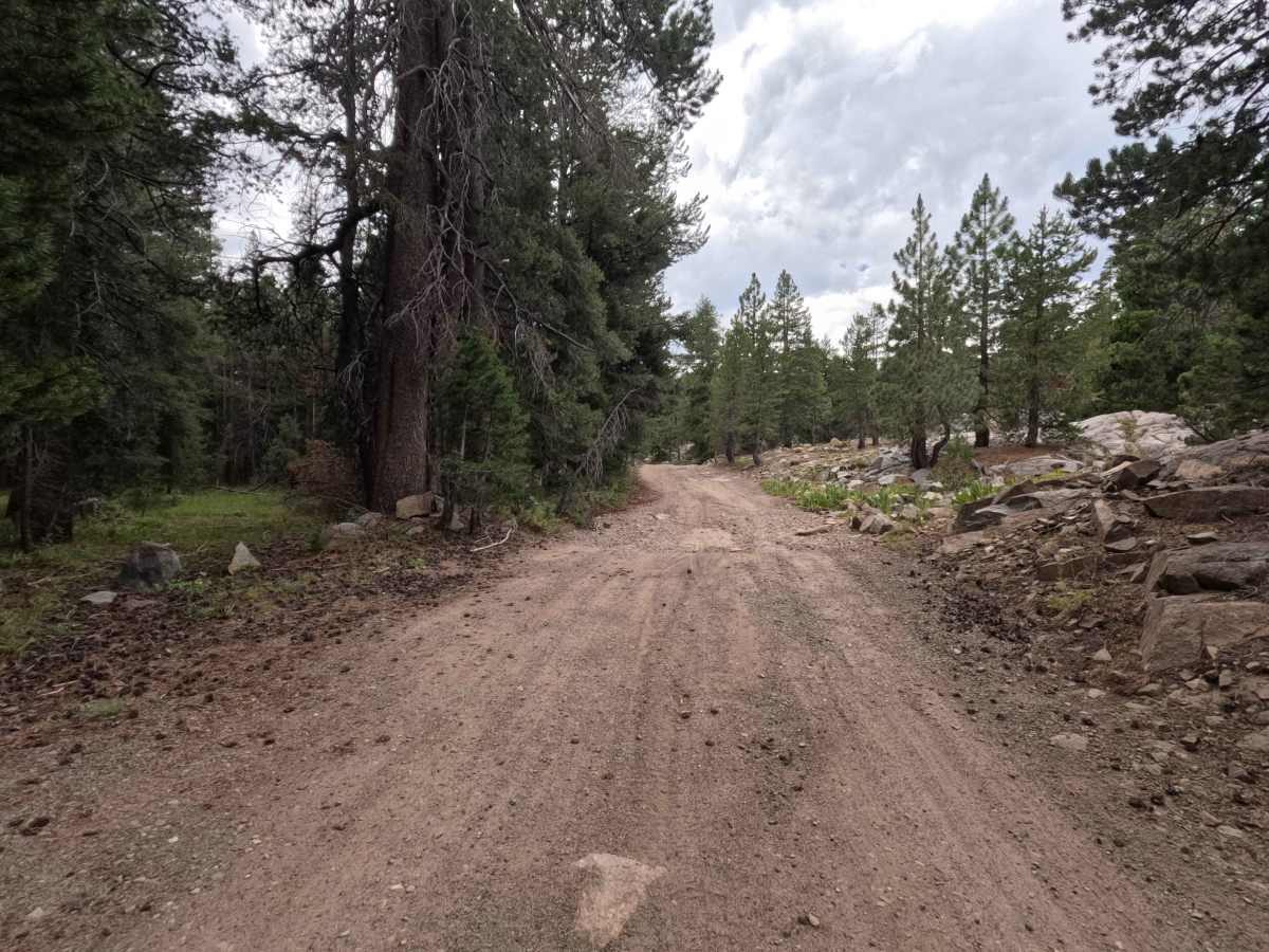 Hope Valley Campground North - FS 31081 photo 5