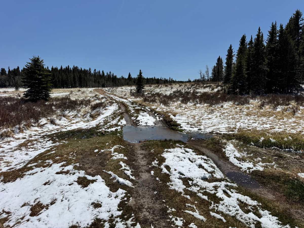 Crazy Gulch Road - FS 375 photo 2