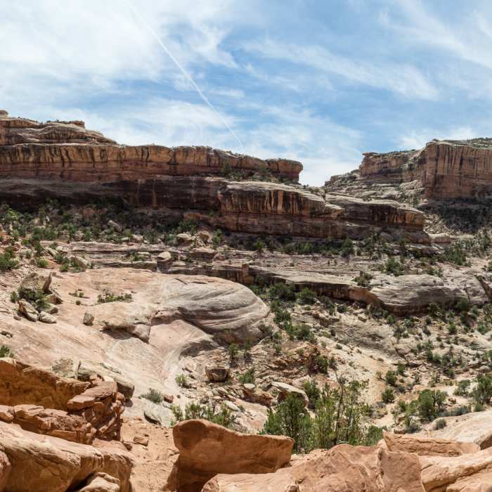 Enjoy a panoramic view from the alcove harboring Perfect Kiva. Near Bullet Canyon Trail