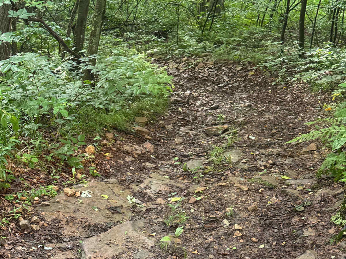 Trail 56 photo 3