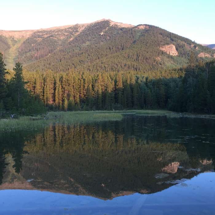 Near Three Elk Trail #1445