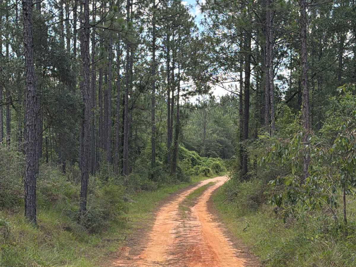 FS F14 trail photo