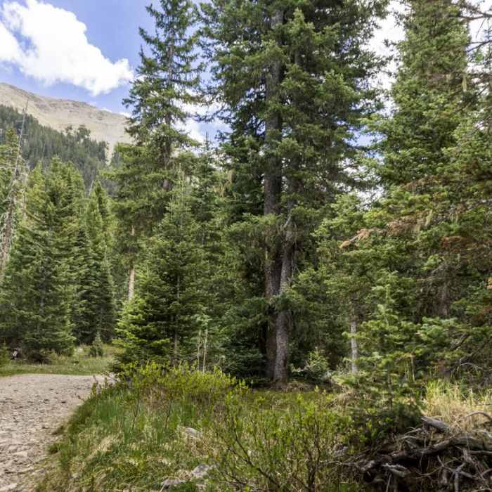 Near Williams Lake Hike