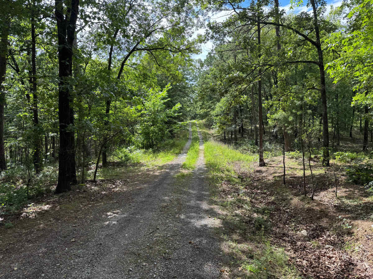 Woods Branch photo 5