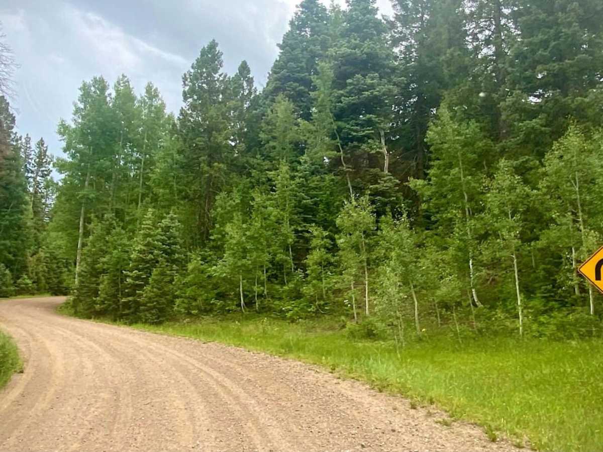Poison Park Rd #644 trail photo