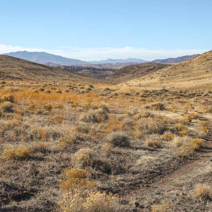 Near Pah Rah Single Track