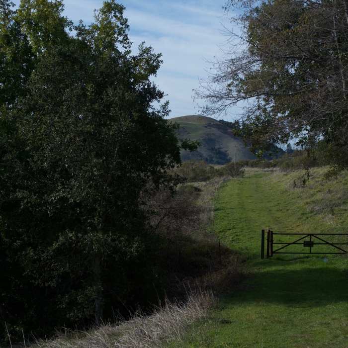 Near Alder Spring Trail