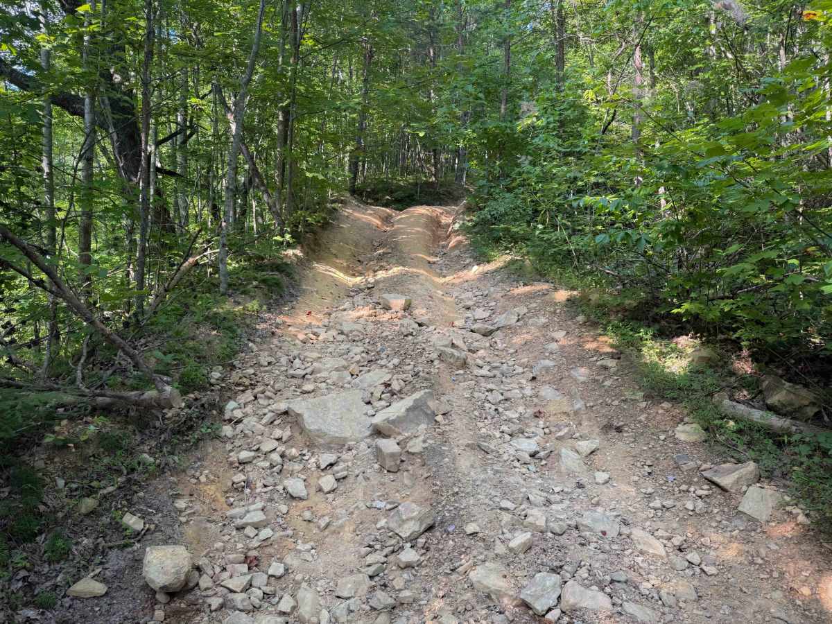 Pete Hollow Trail photo 6