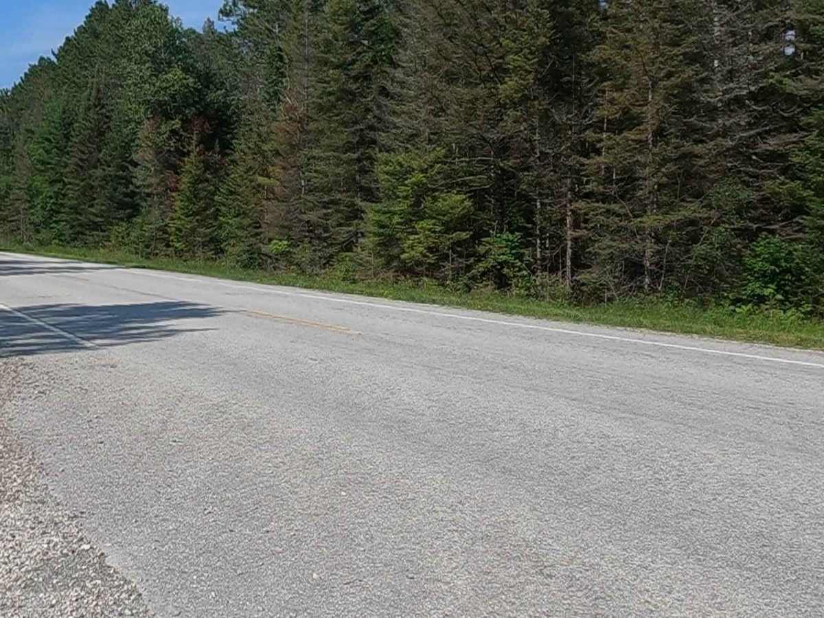Sturgeon River Road - FSR 2229 photo 6