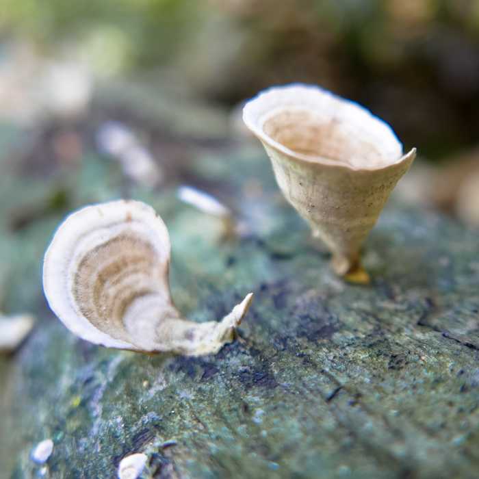 Near Blacklick Woods Metro Park